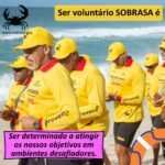 Ser voluntario (50)